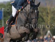 Philippaerts L Denver TosTour 2013- S5 7653 : Arezzo Equestrian Centre, Denver, Philippaerts Ludo, Toscana Tour 2013, foto di Stefano Secchi ©
